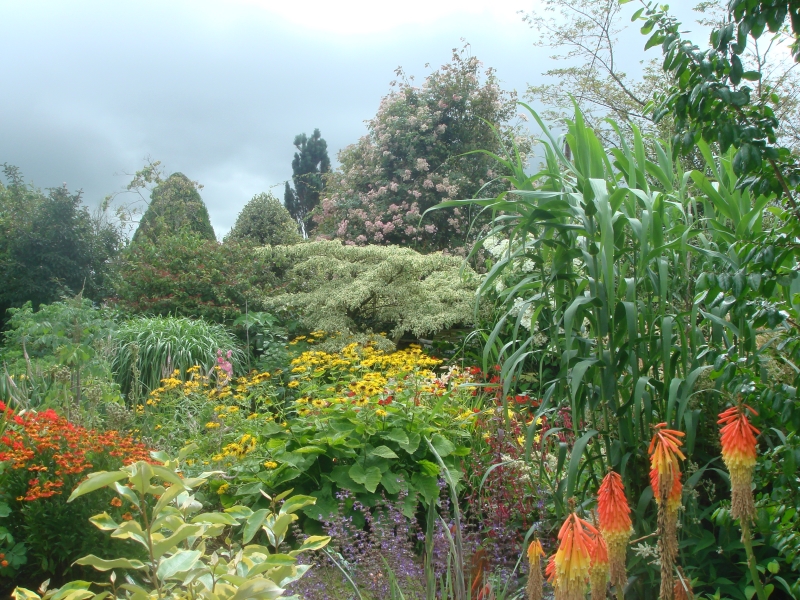 Stowey Gardens